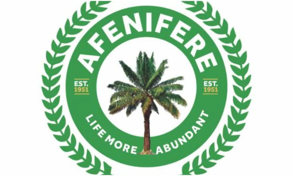 Afenifere warns governments that the Yoruba language is in danger of dying out