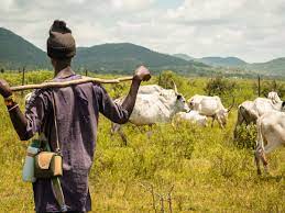 Allegedly, an Osun farmer murdered a herder whose cattle were grazing on his land