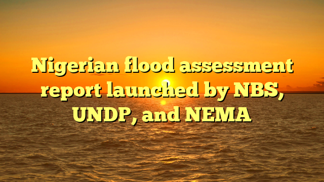 Nigerian flood assessment report launched by NBS, UNDP, and NEMA