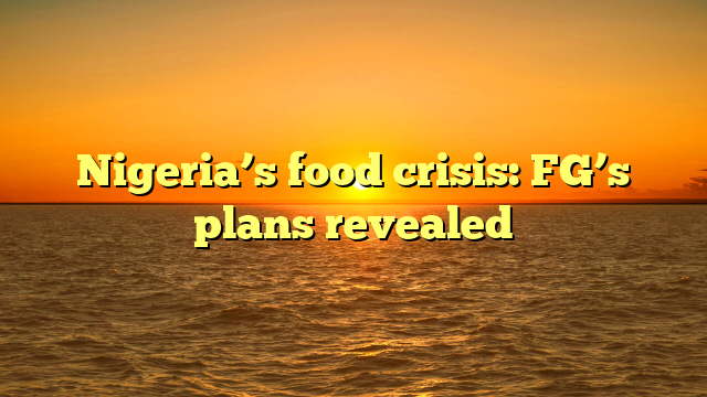 Nigeria’s food crisis: FG’s plans revealed