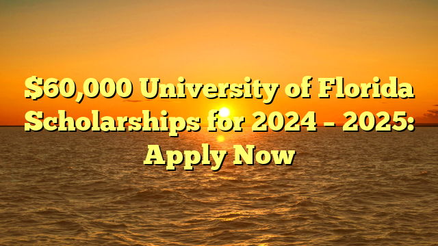 $60,000 University of Florida Scholarships for 2024 – 2025: Apply Now